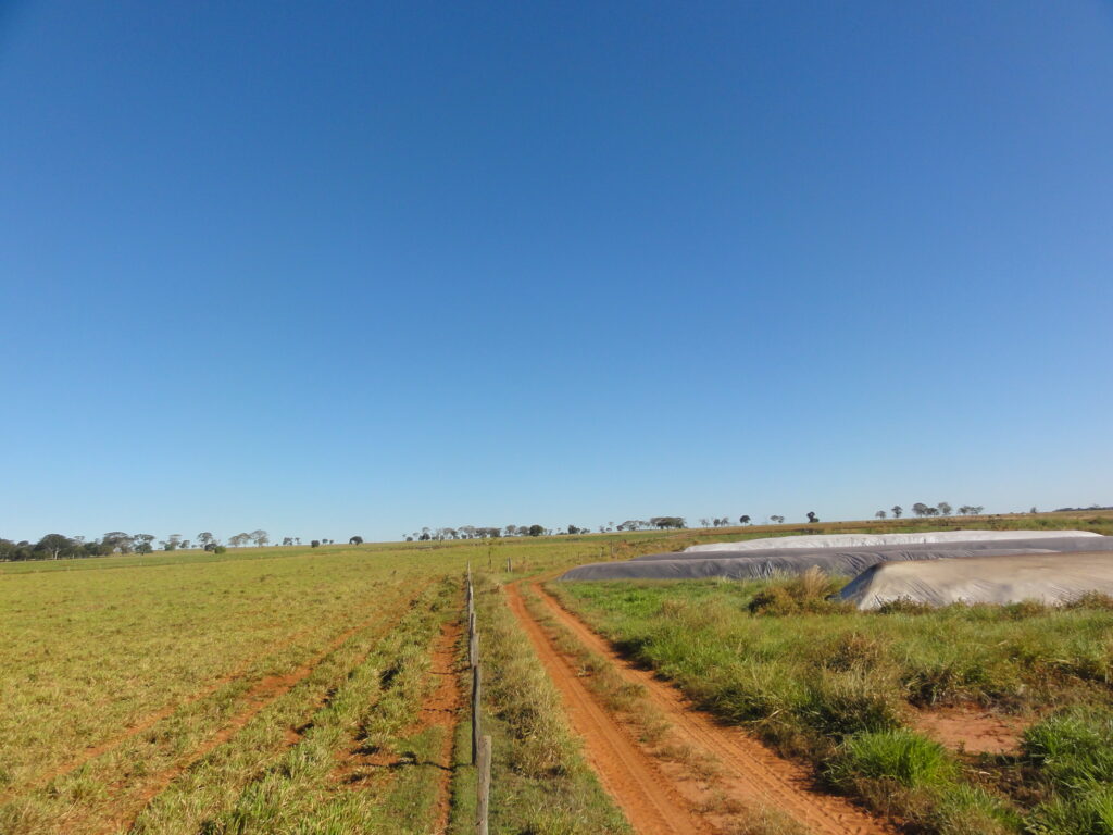 DSC01045